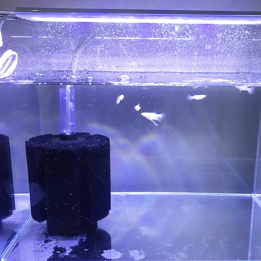 3 Sizes Fish Tank Skimmer FilterFA011