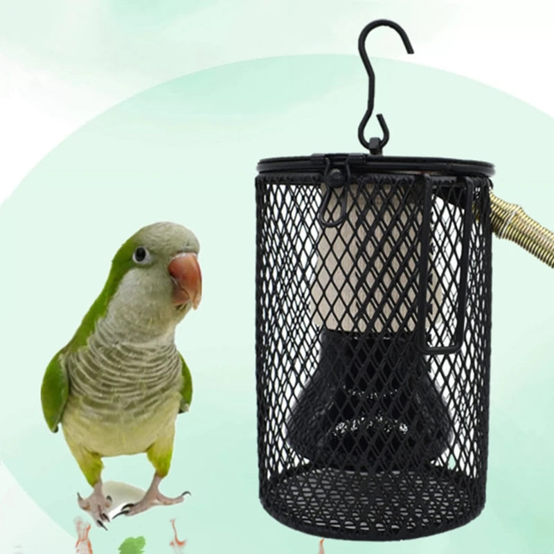 Heat Lamp Coop Heater Kit Lighting