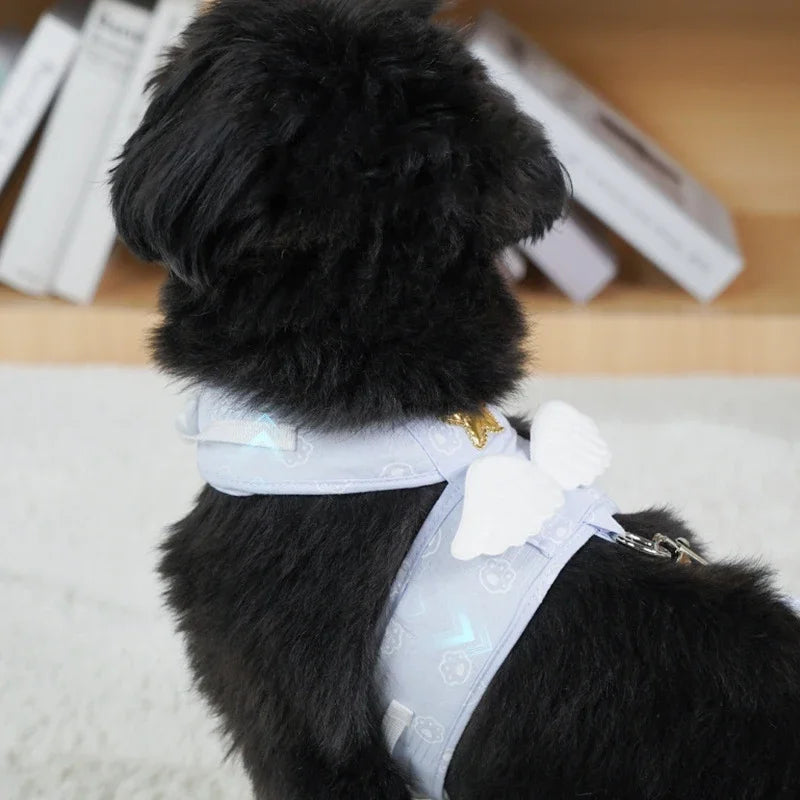 Harness Necklace Leash Collar