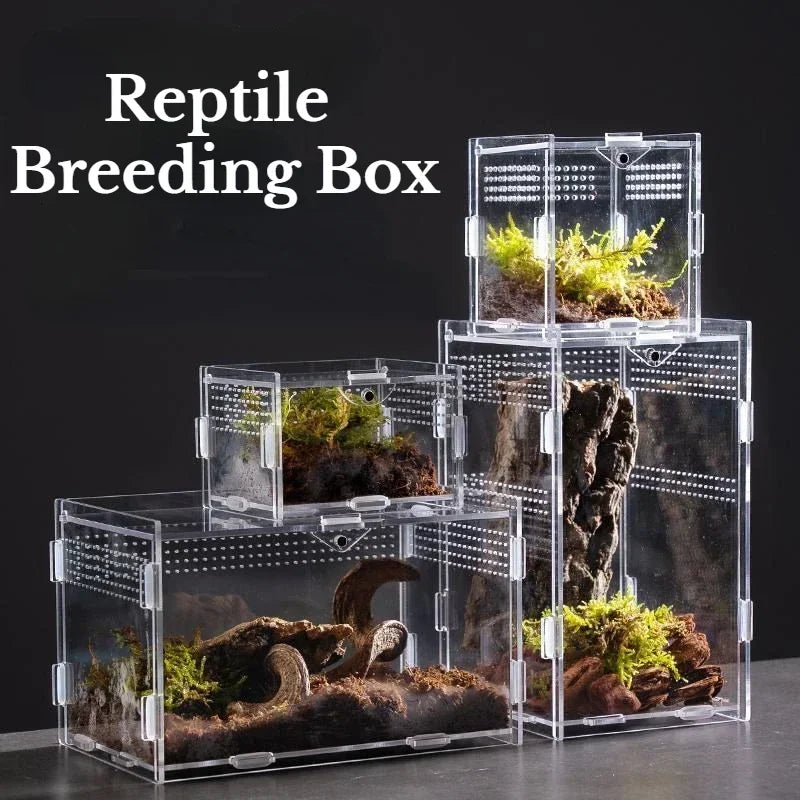 Transparent Acrylic Terrarium Habitat Cage Nano Arboreal