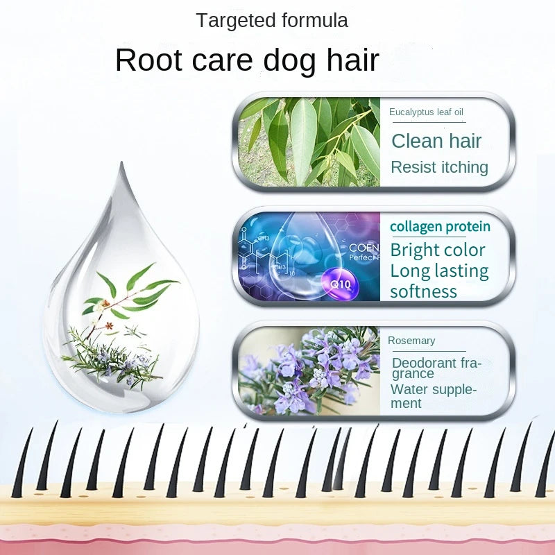 Itchy Skin Plant essence Argan Shampoo Allergy Relief