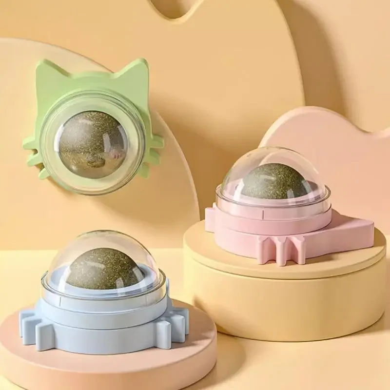Funny Snack Playing Cleaning Teeth Toy