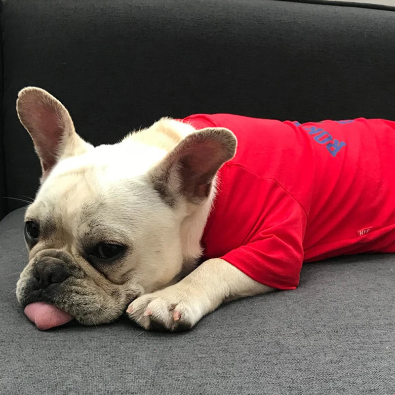 Leisure Clothing Bulldog