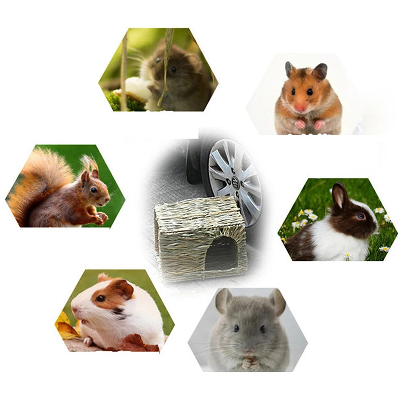 Rabbit Hamster Guinea Pig Bunny
