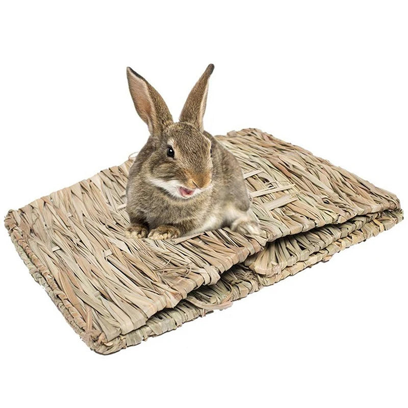 Rabbit Hamster Guinea Pig Bunny