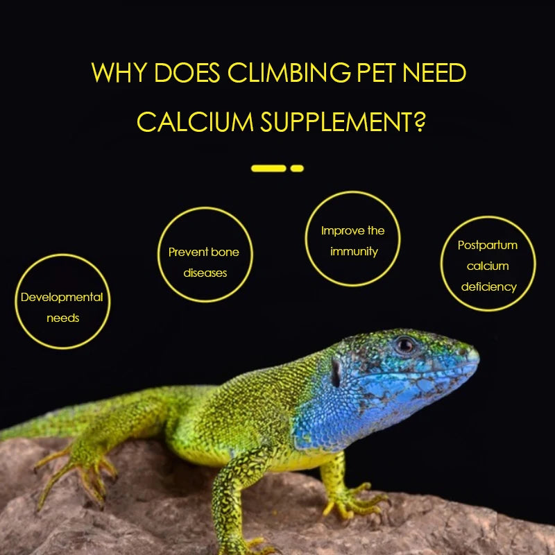 D3 calcium powder chameleon tortoise gecko maned lion