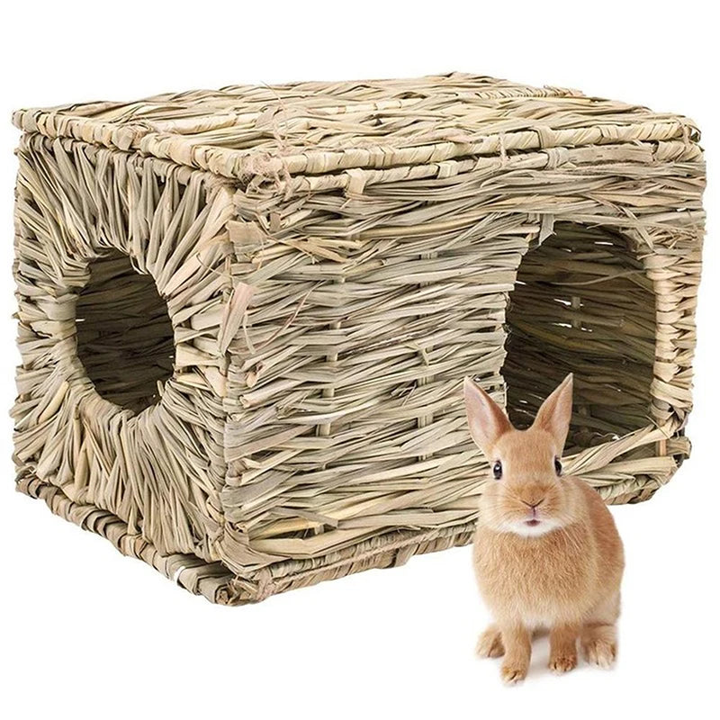 Rabbit Hamster Guinea Pig Bunny