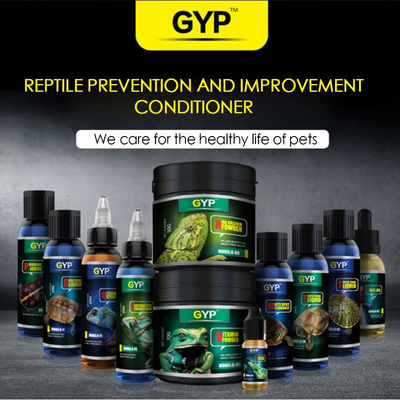 Reptile Chameleon Dragon's Mane Lion Tortoise Gecko