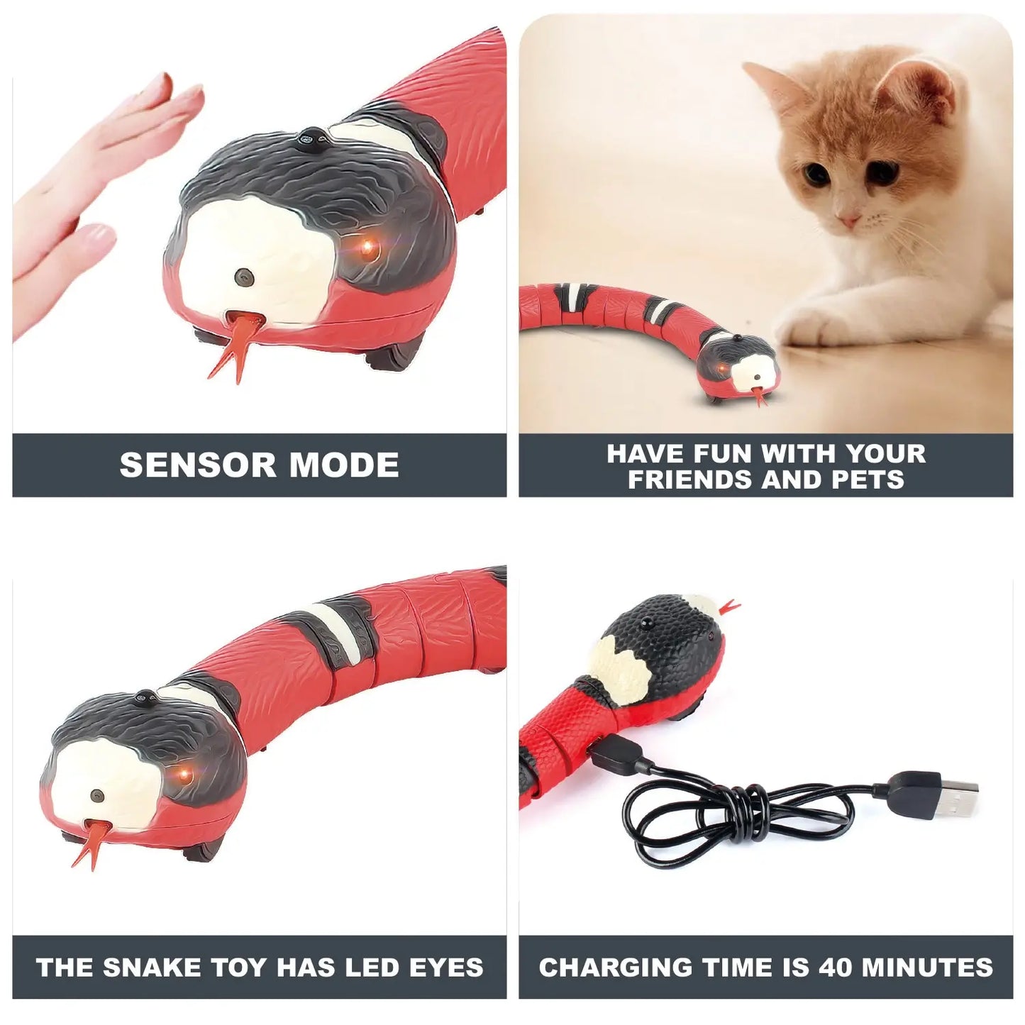 Automatic Electronic Snake Teaser Indoor Play