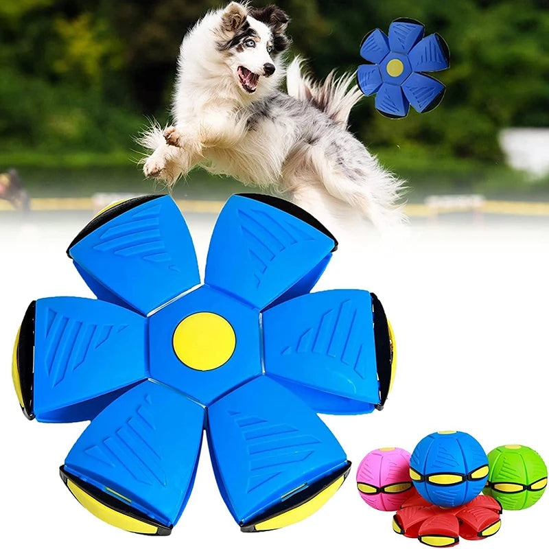 Interactive Flying Saucer Magic Funny Pet Toy Flying Saucer Outdoor
