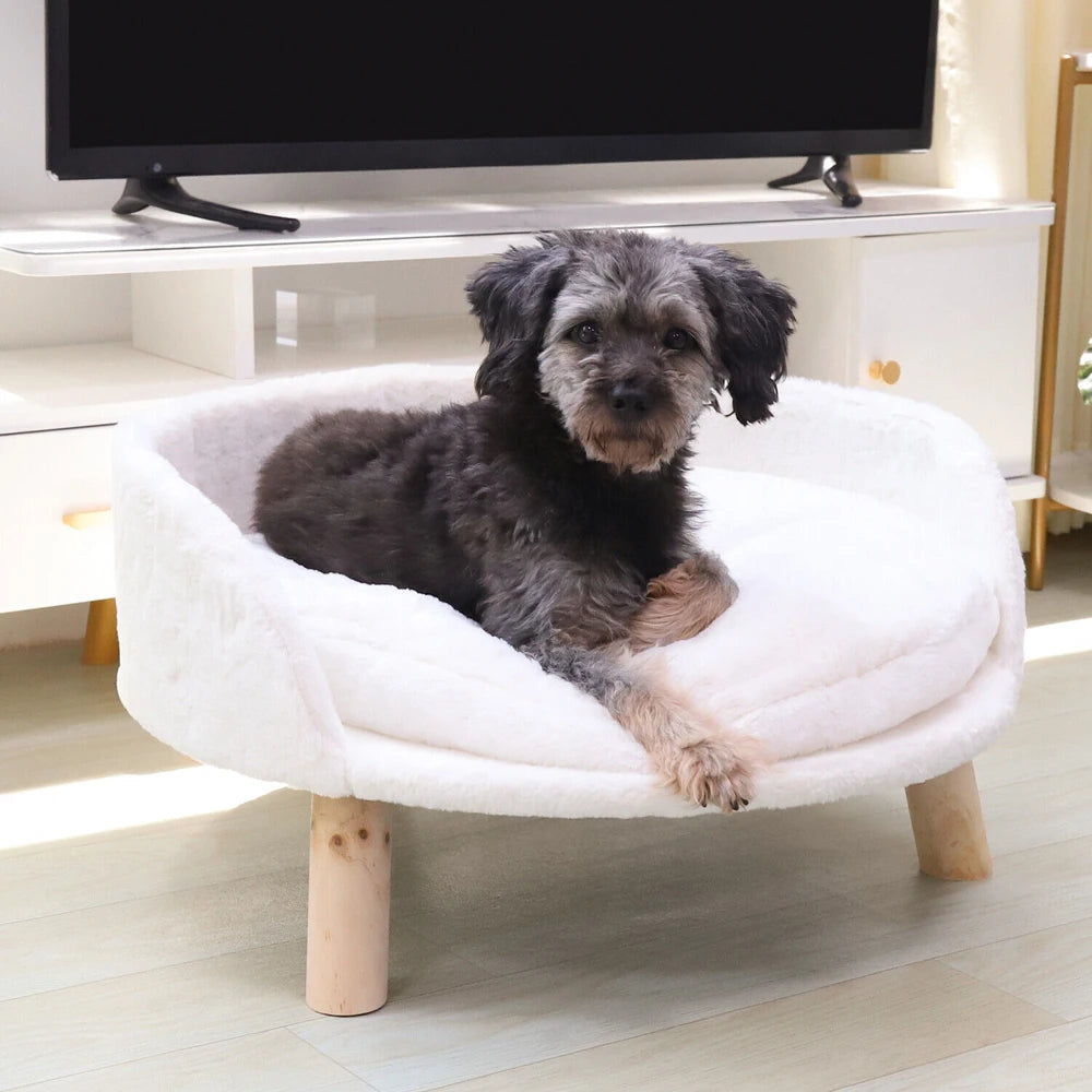 Luxury Fabric Couch Wood Legs Small Pets