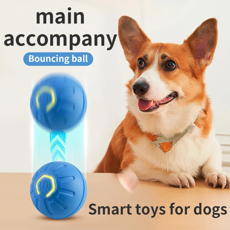 Toy Moving Ball USB Automatic Moving Bouncing