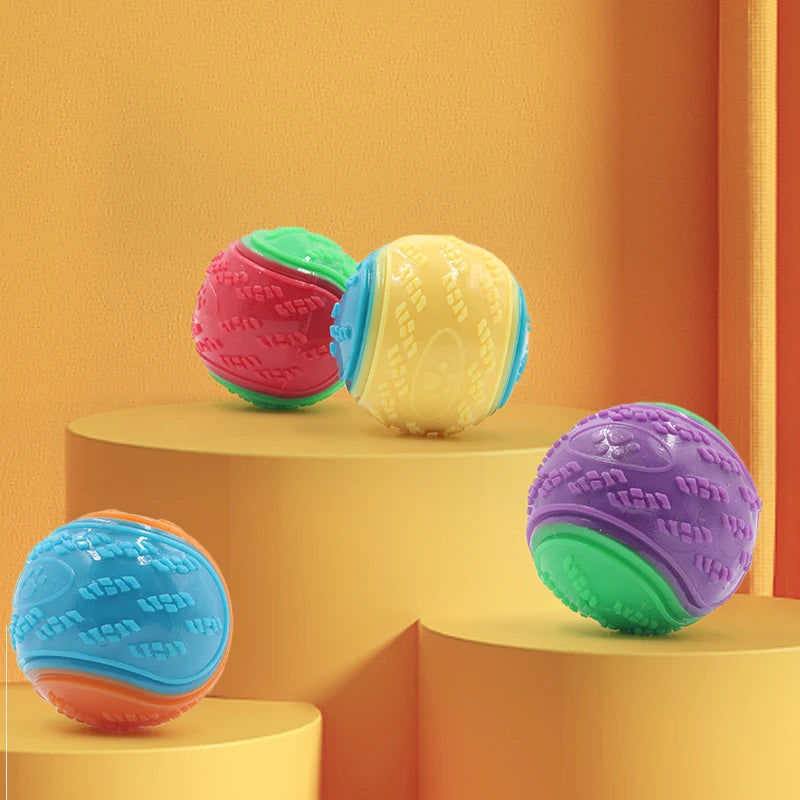 Soft TPR Toys Bite Resistance Squeaky