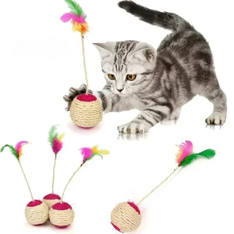 Training Interactive Toy