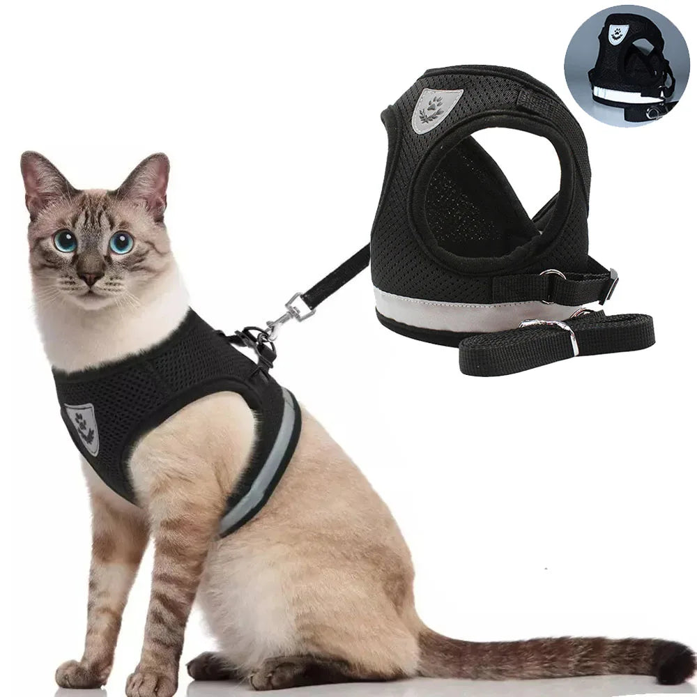 Harness Leash Escape Proof