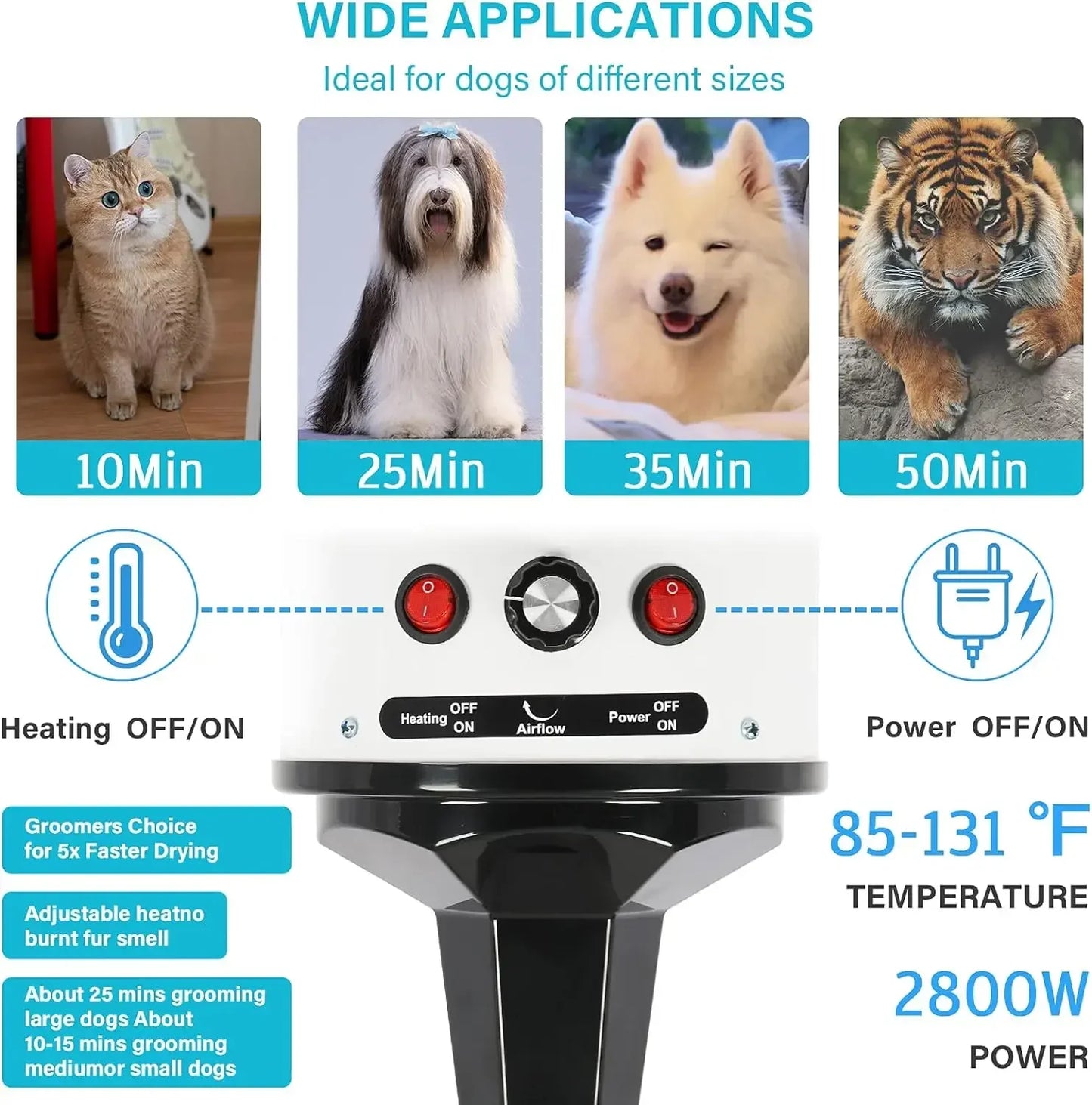 2800W Blower Warm Wind Secador Fast Silent Stepless Speed Regulation