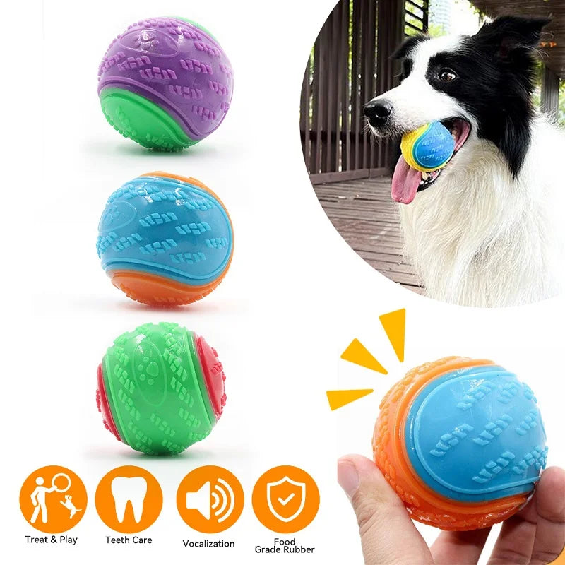Soft TPR Toys Bite Resistance Squeaky