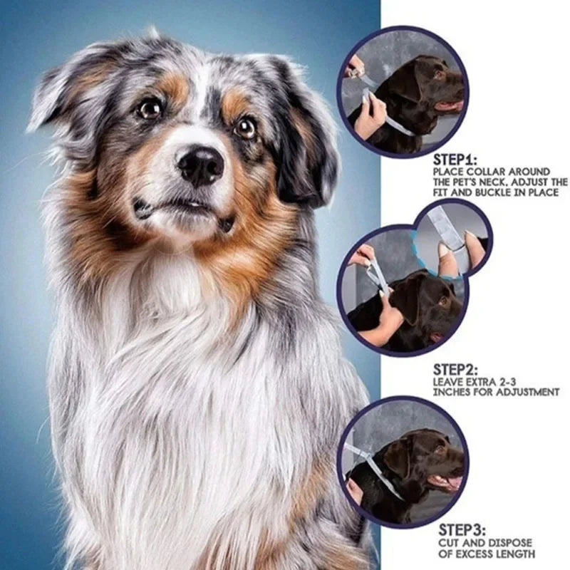 Anti Flea Tick Collars 8 Month Protection