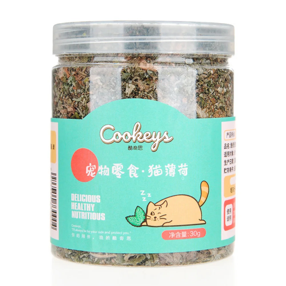 Kitten Snack Adult Cat Reward