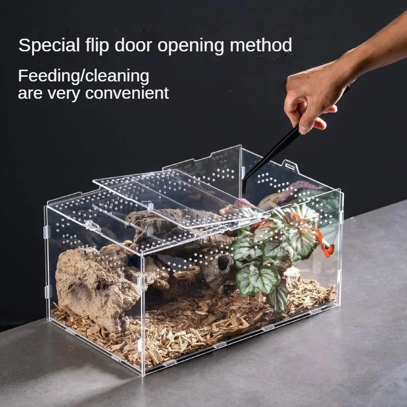 Acrylic Case Nano Arboreal