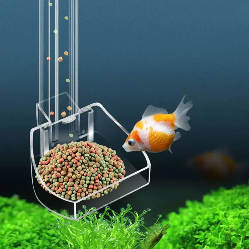 Aquarium Anti-stuck fish design Transparent Suitable