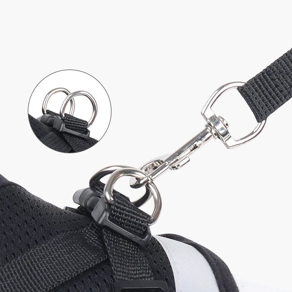 Harness Leash Escape Proof