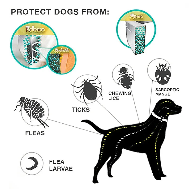 Anti Flea Tick Collars 8 Month Protection