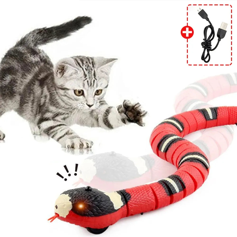 Automatic Electronic Snake Teaser Indoor Play