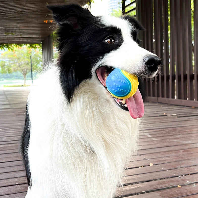 Soft TPR Toys Bite Resistance Squeaky