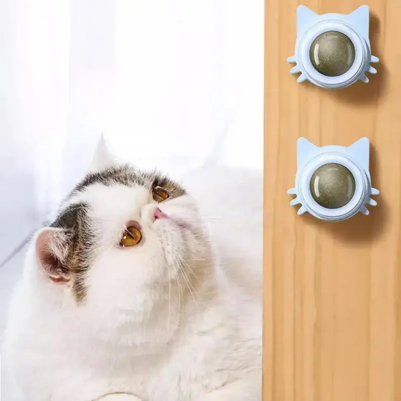 Funny Snack Playing Cleaning Teeth Toy