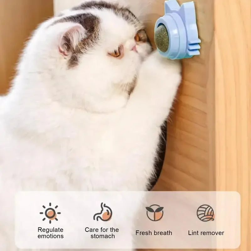 Funny Snack Playing Cleaning Teeth Toy