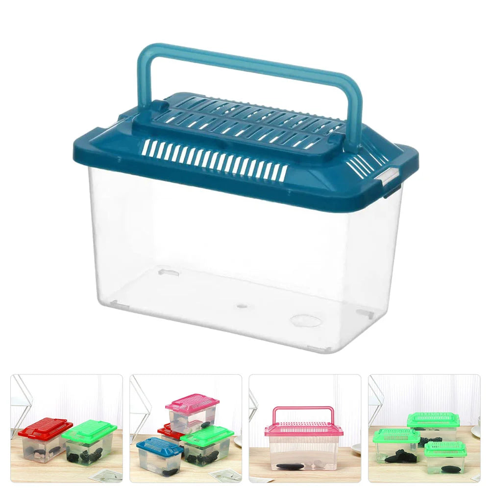 Handheld Transparent Terrarium