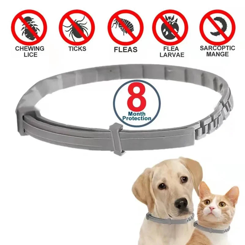 Anti Flea Tick Collars 8 Month Protection