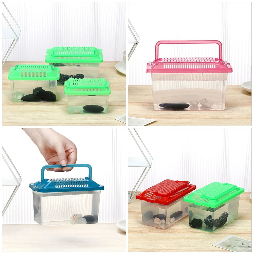 Handheld Transparent Terrarium