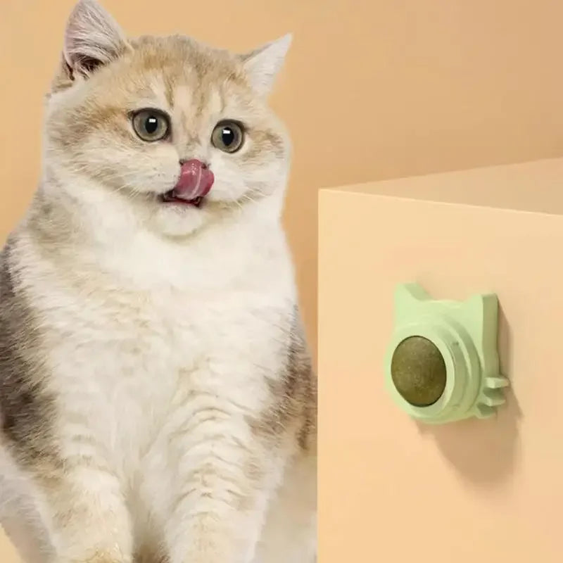 Funny Snack Playing Cleaning Teeth Toy