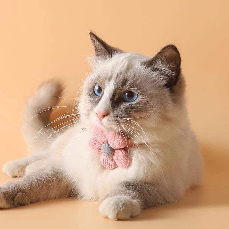 Cute Cartoon Pet Collar Soft Polyester