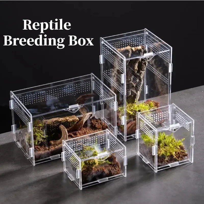 Acrylic Case Nano Arboreal