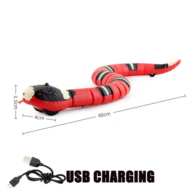 Automatic Electronic Snake Teaser Indoor Play
