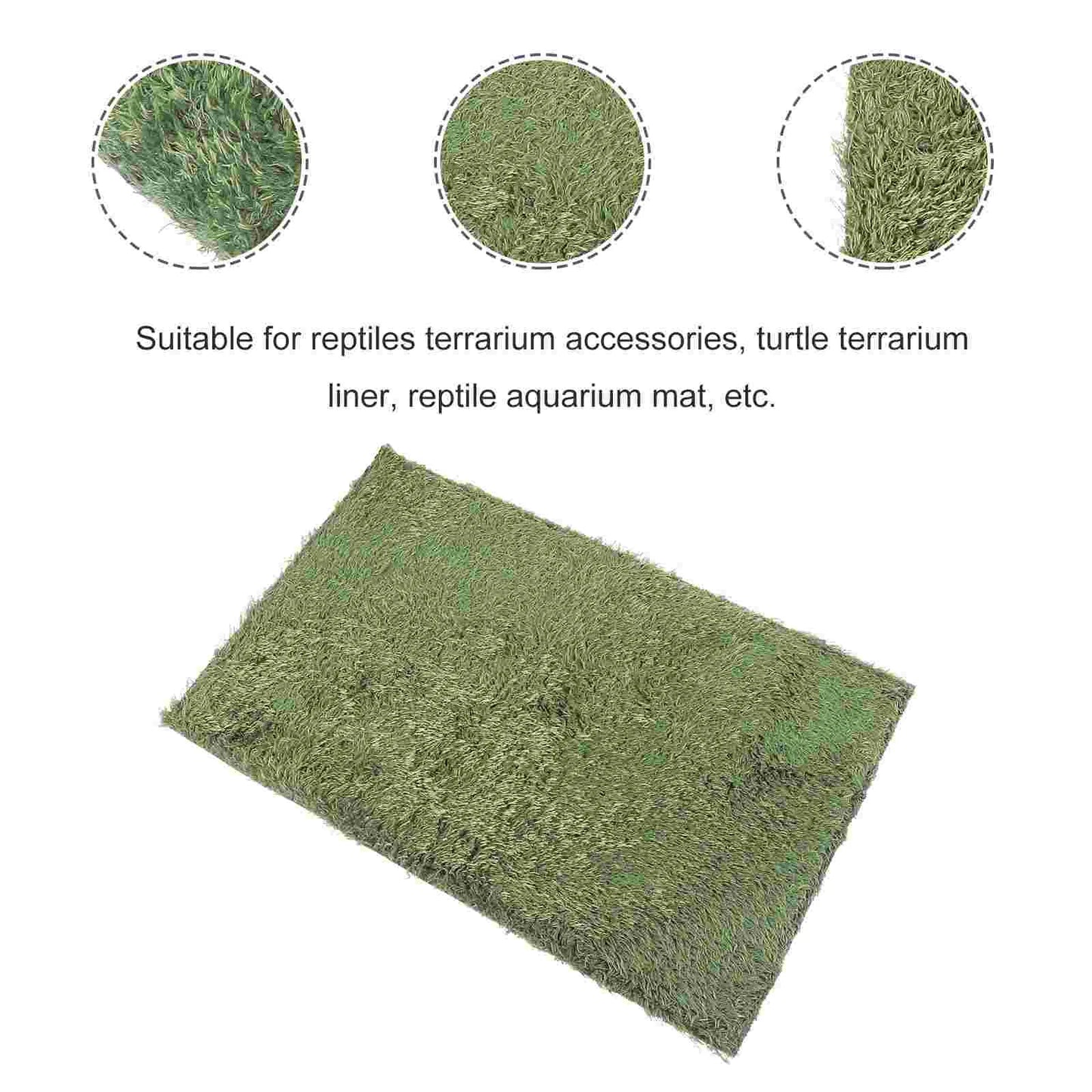 2 Pcs Terrarium Background Reptile Amphibious Reptile