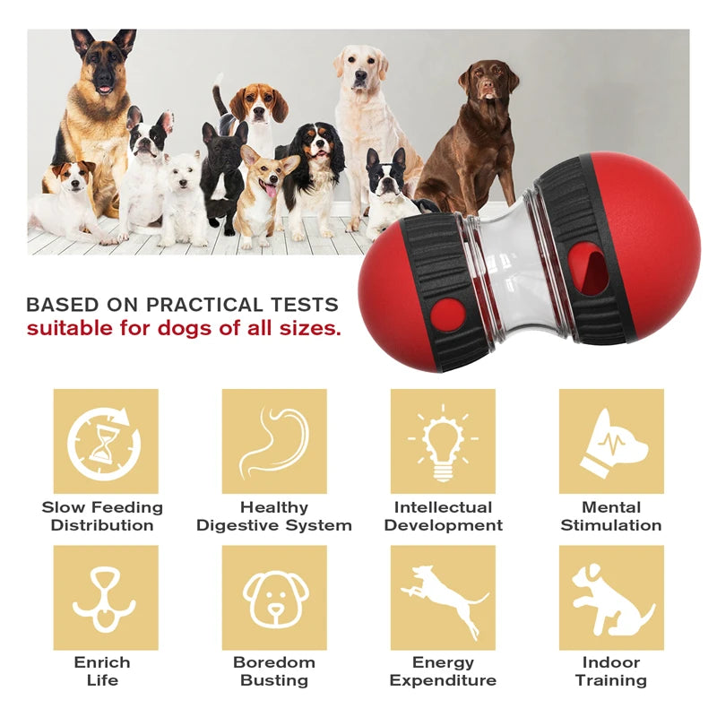 Increase Intelligence Elliptical Track Rolling Ball Sturdy Durable Interactive