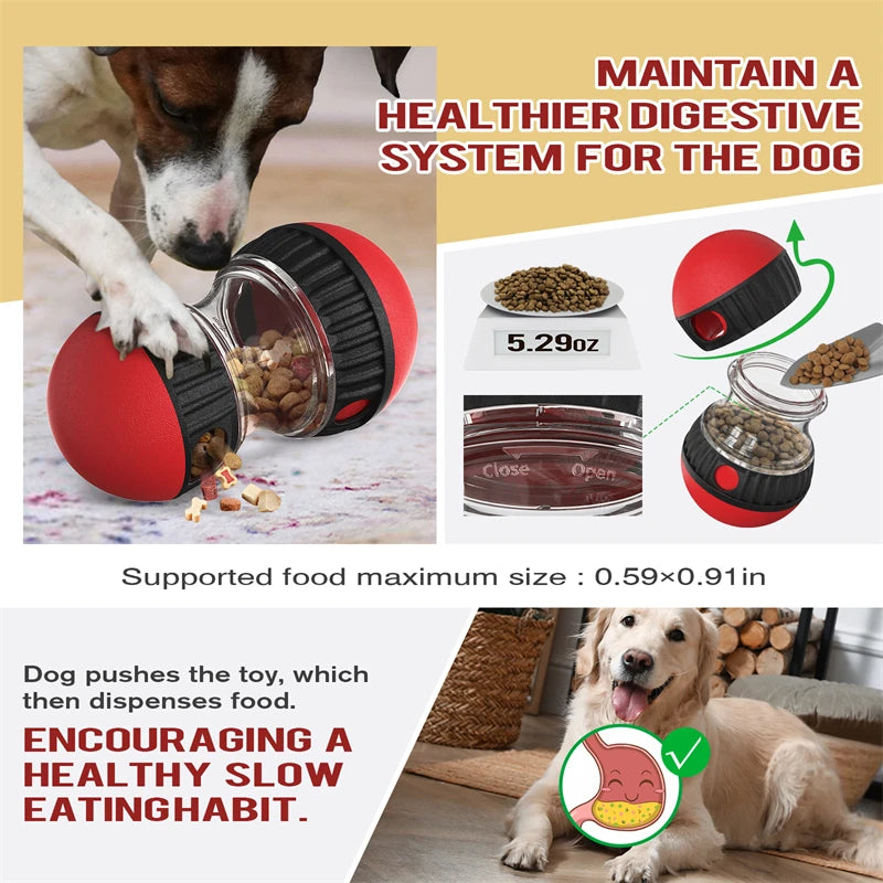 Increase Intelligence Elliptical Track Leaky Food Develop Good Habits