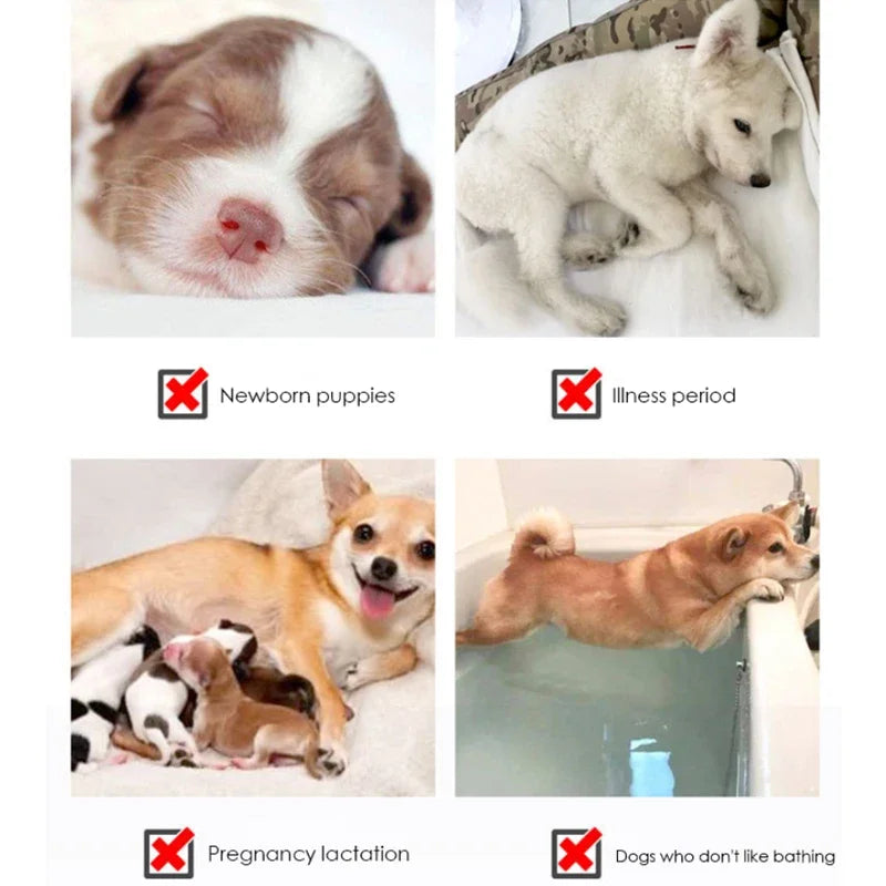 Starch Powder Pet Dry Cleaning Powder 300g