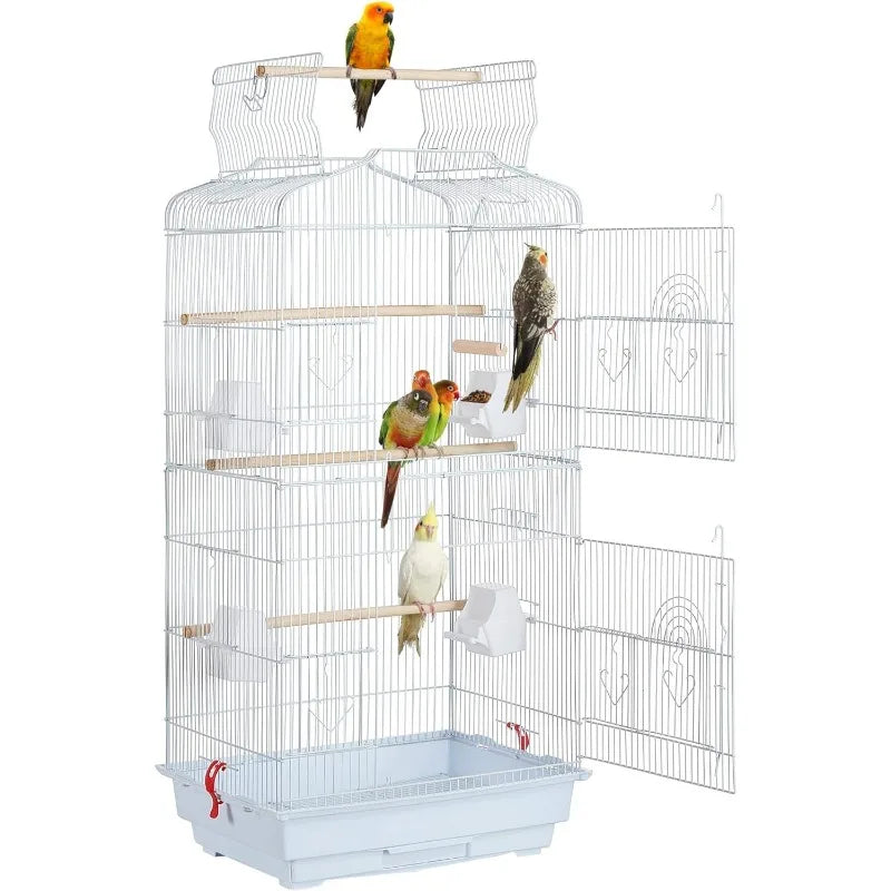 41-inch Medium Bird
