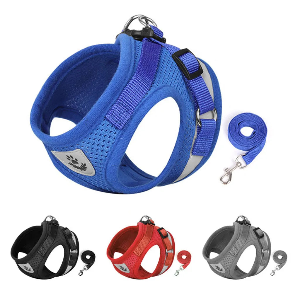 Harness Leash Escape Proof