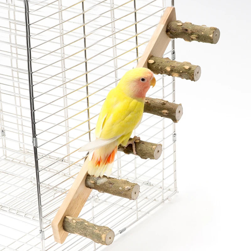 4/6 Wood Interactive