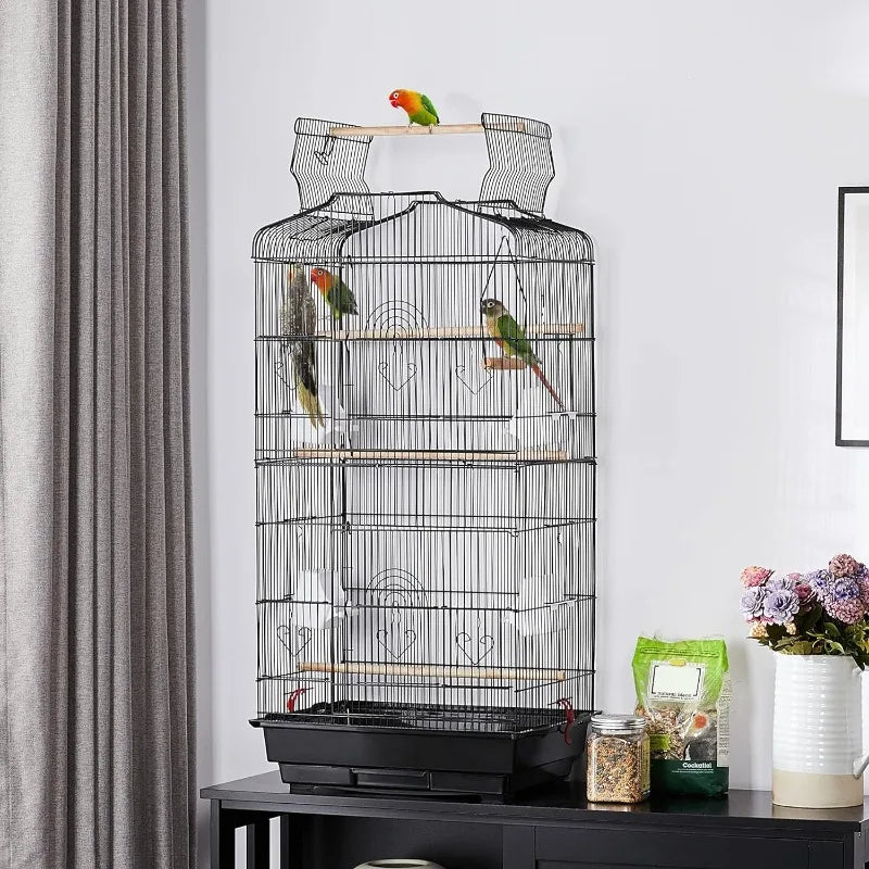 41-inch Medium Bird