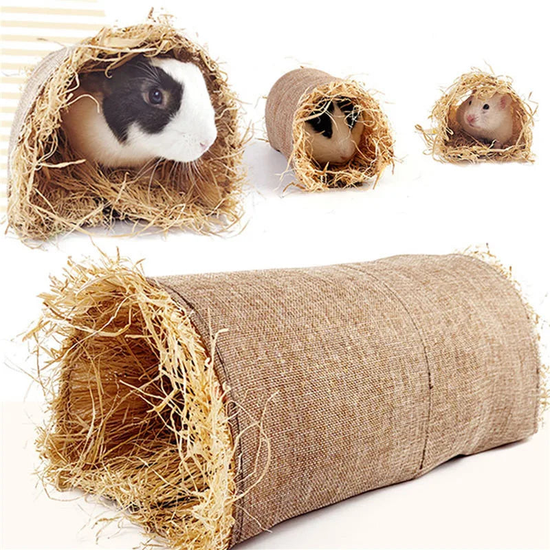 Rabbit Hamster Guinea Pig Bunny