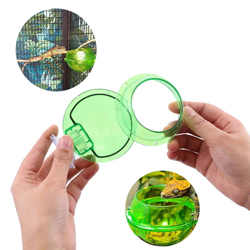 Gecko Feeder Chameleon Bowl