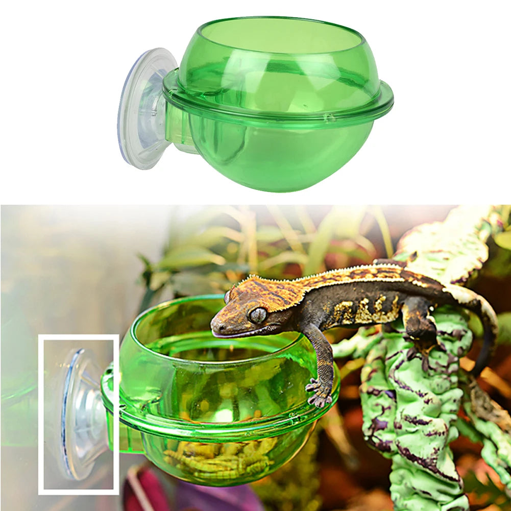 Gecko Feeder Chameleon Bowl