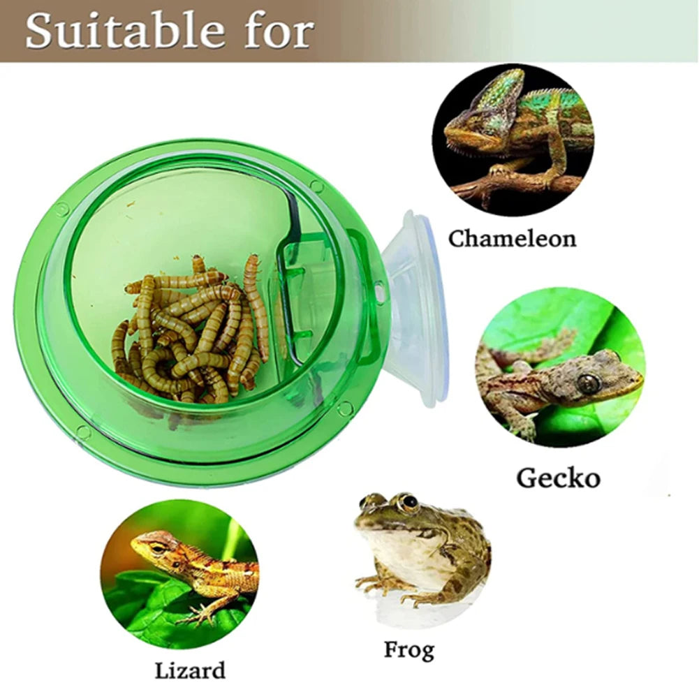 Gecko Feeder Chameleon Bowl